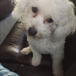 Meet your Posher, Gayle